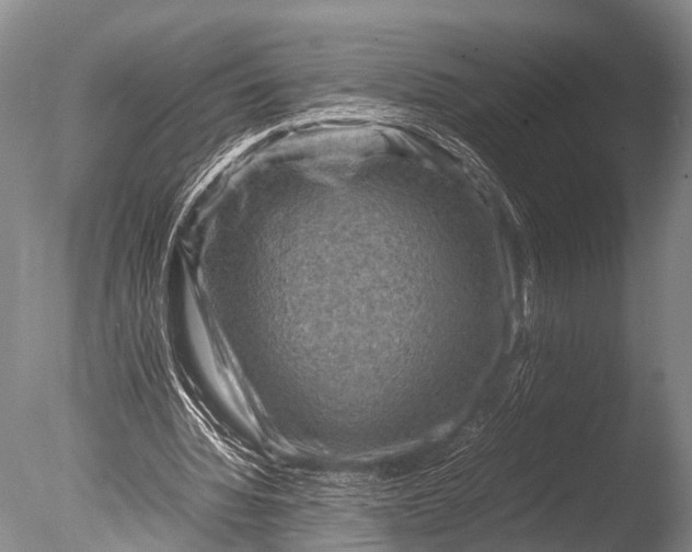 X0000085730436200703301406