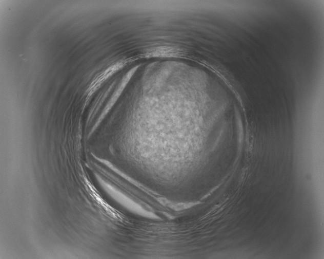 X0000085730437200703301406