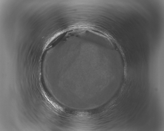 X0000085730438200703301406