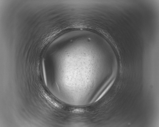 X0000085730441200703301406