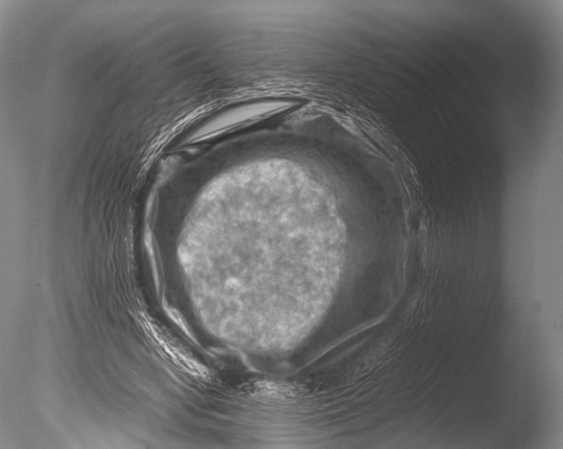 X0000085730442200703301406