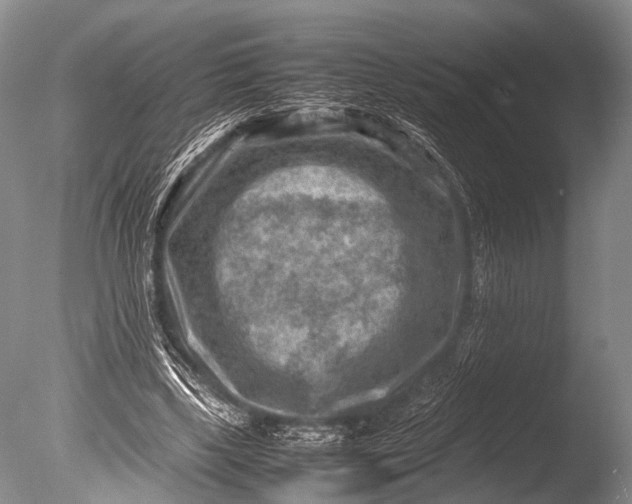 X0000085730443200703301406