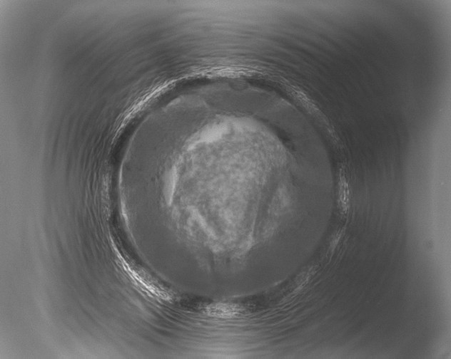 X0000085730444200703301406