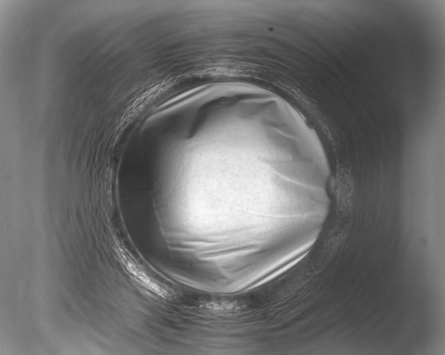 X0000085730445200703301406