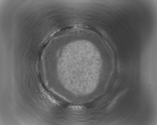 X0000085730449200703301406