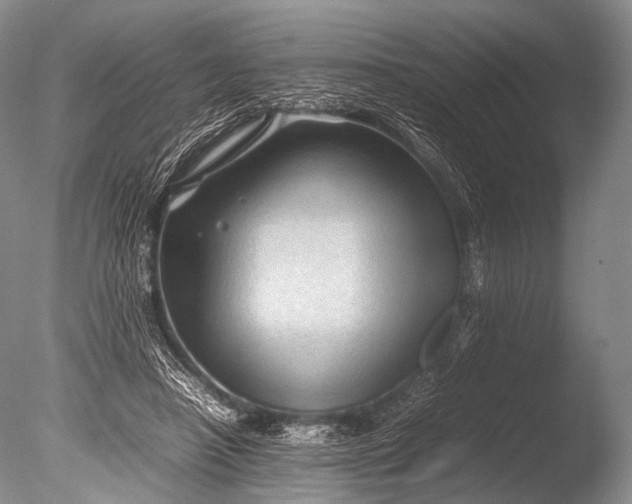 X0000085730450200703301406