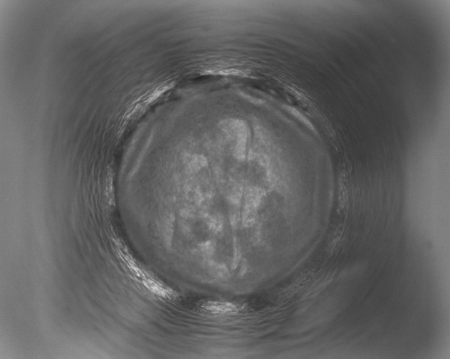 X0000085730453200703301406