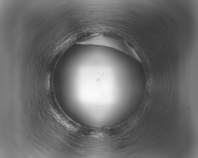 X0000085730454200703301406