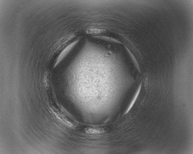 X0000085730455200703301406