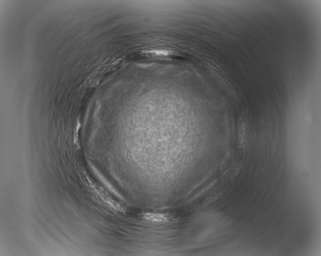 X0000085730457200703301406