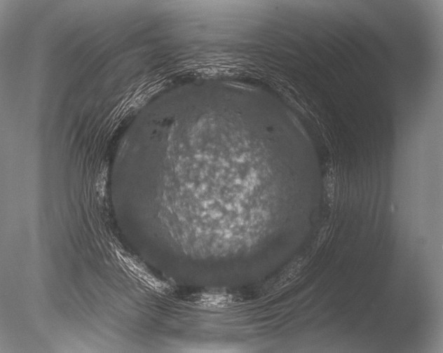 X0000085730458200703301406