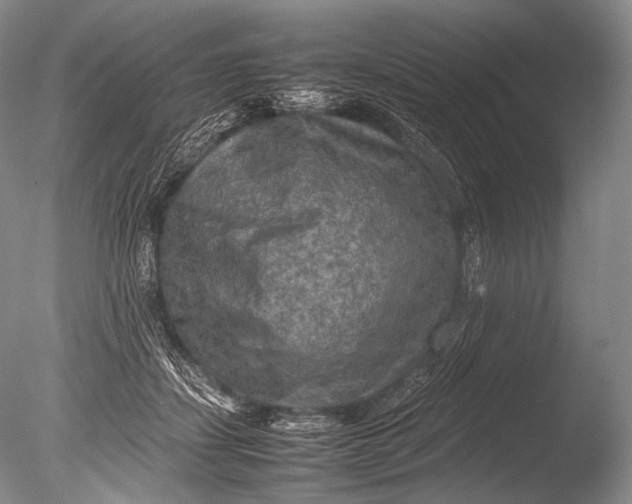 X0000085730459200703301406