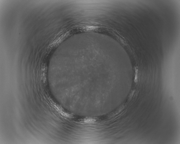 X0000085730462200703301406