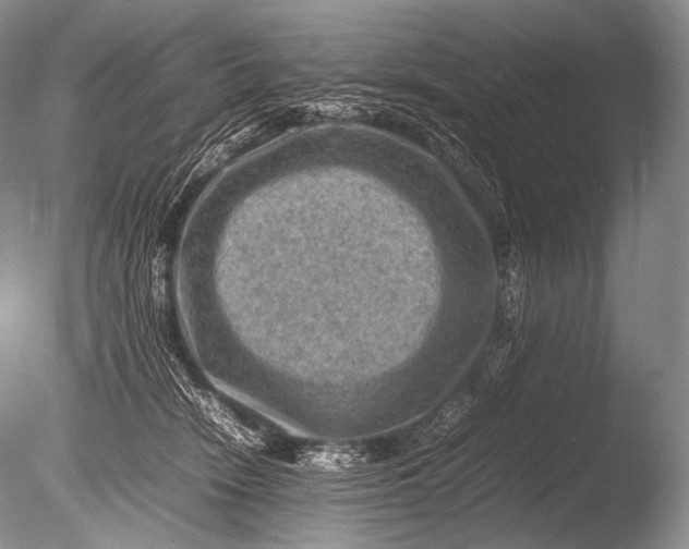 X0000085730466200703301406