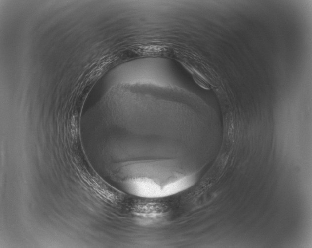 X0000085730467200703301406