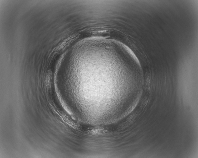 X0000085730468200703301406