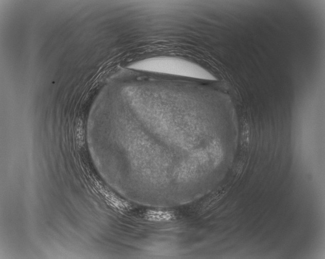 X0000085730469200703301406