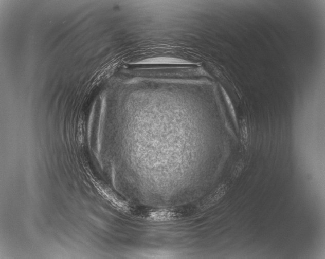 X0000085730470200703301406