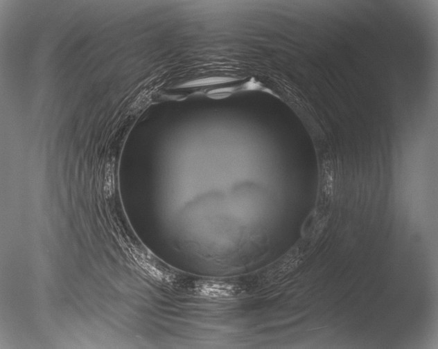 X0000085730471200703301406