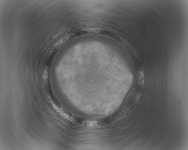 X0000085730472200703301406