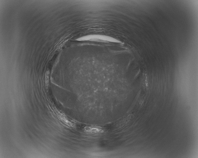 X0000085730475200703301406