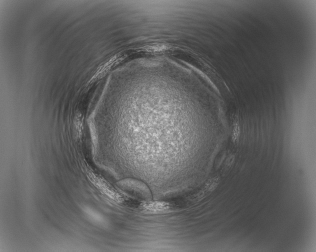 X0000085730476200703301406