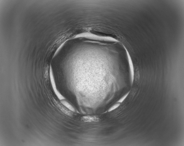 X0000085730477200703301406