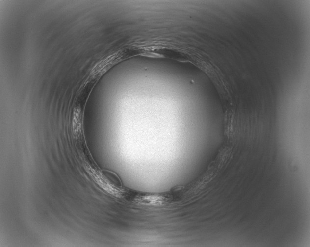 X0000085730478200703301406