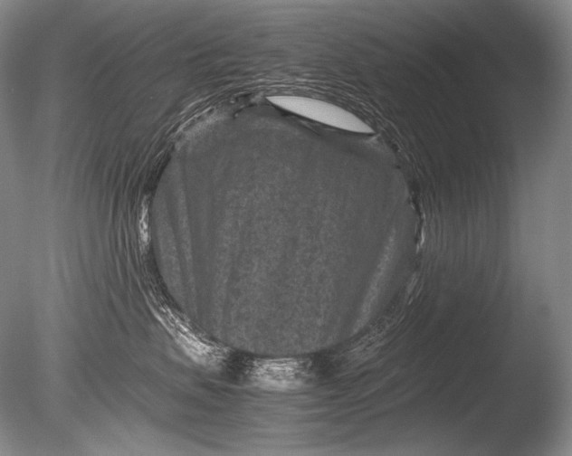 X0000085730479200703301406