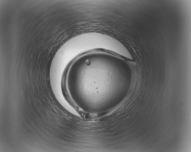 X0000085730480200703301406