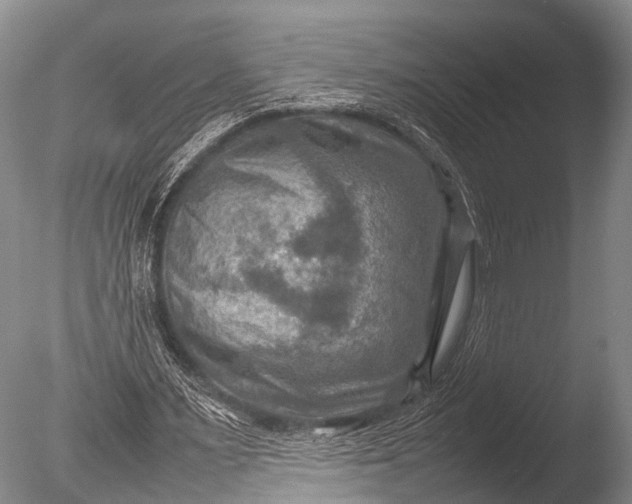 X0000085730483200703301405