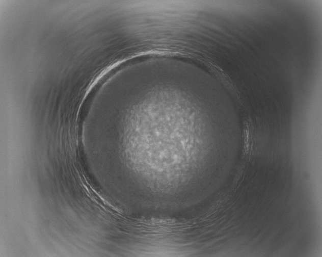 X0000085730484200703301405