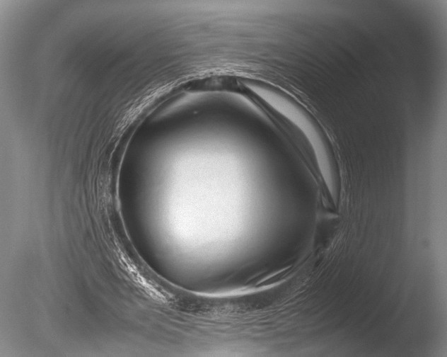 X0000085730485200703301405