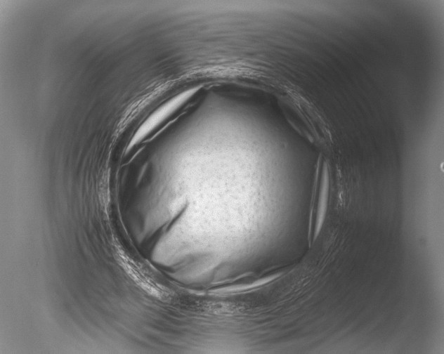 X0000085730486200703301405