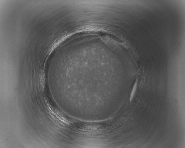 X0000085730488200703301405