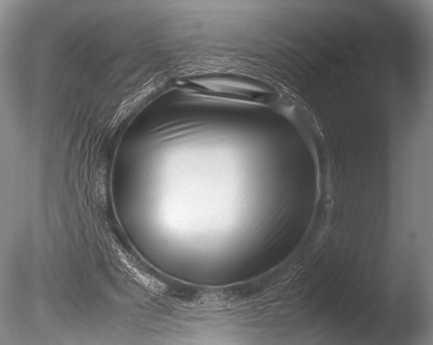 X0000085730489200703301405