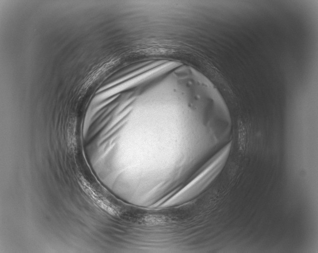 X0000085730490200703301405