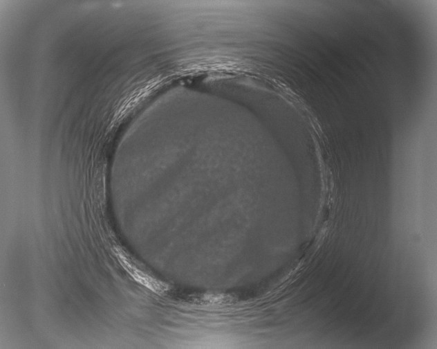 X0000085730493200703301405