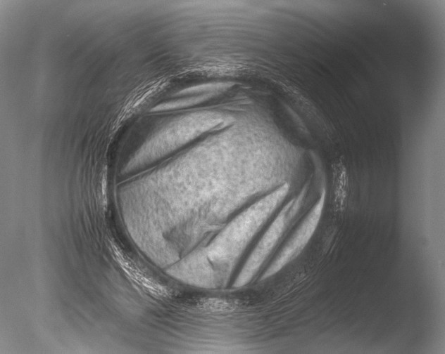 X0000085730494200703301405