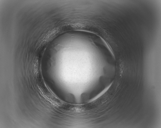 X0000085730498200703301405