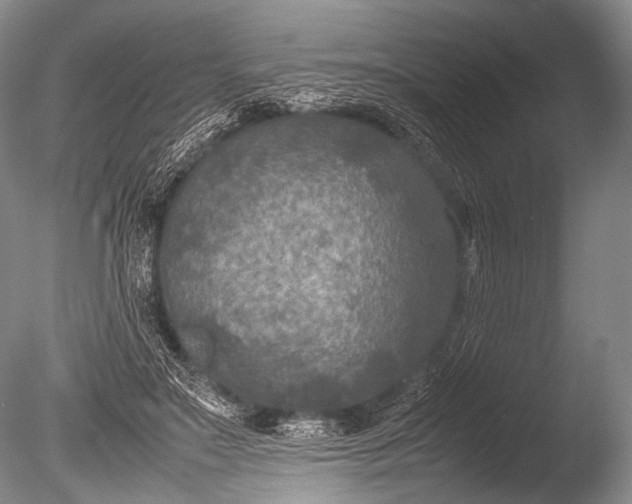 X0000085730499200703301405