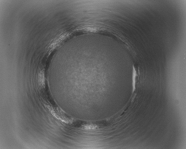 X0000085730500200703301405