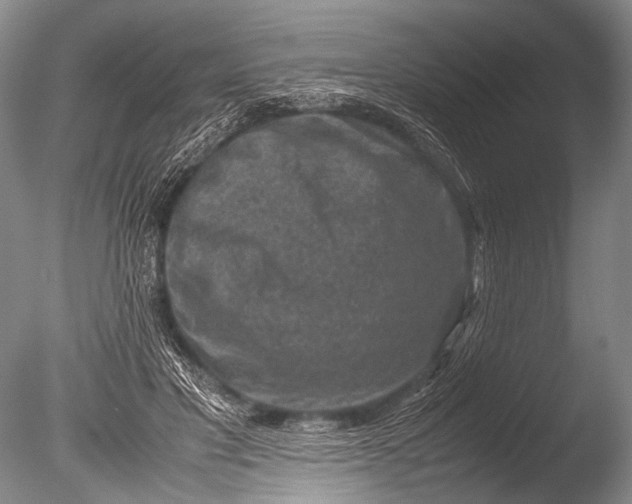 X0000085730501200703301405