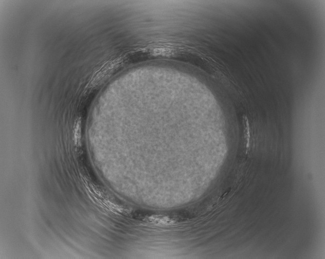 X0000085730502200703301405