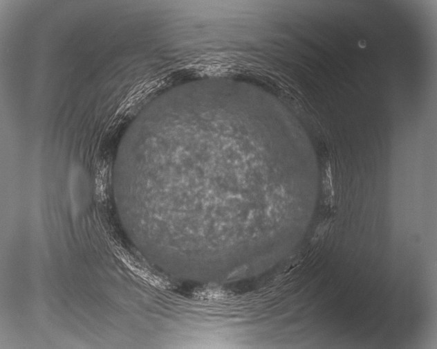 X0000085730503200703301405