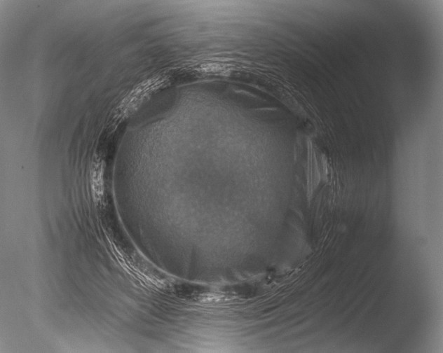 X0000085730504200703301405