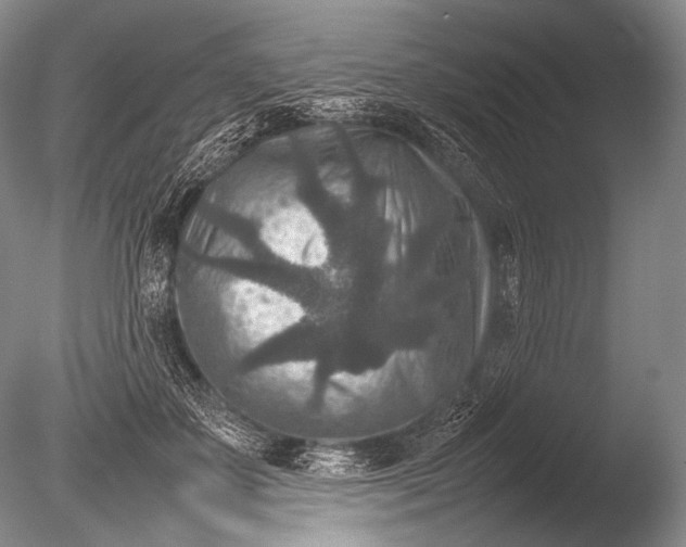 X0000085730507200703301405