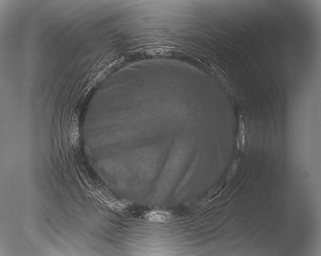 X0000085730508200703301405