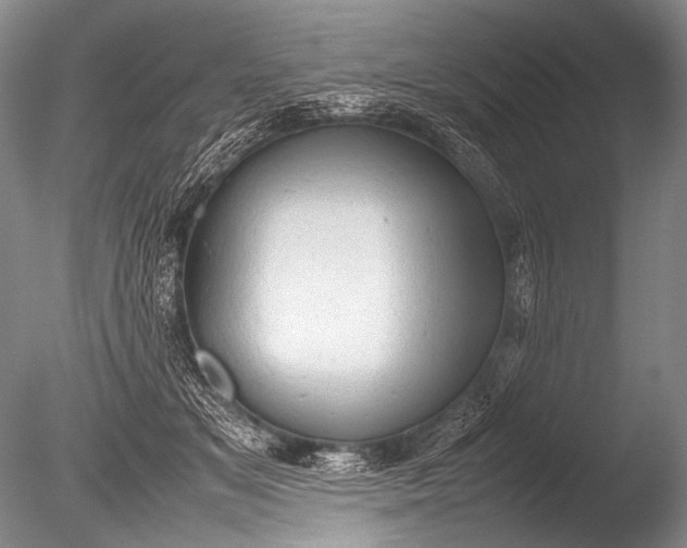 X0000085730509200703301405