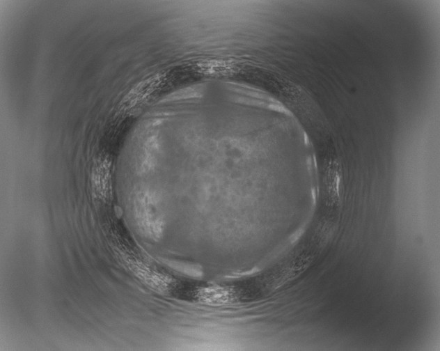 X0000085730511200703301405